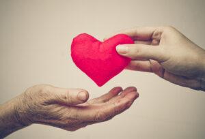 take care of old mother - young female hand giving a red heart to old hand of a mother