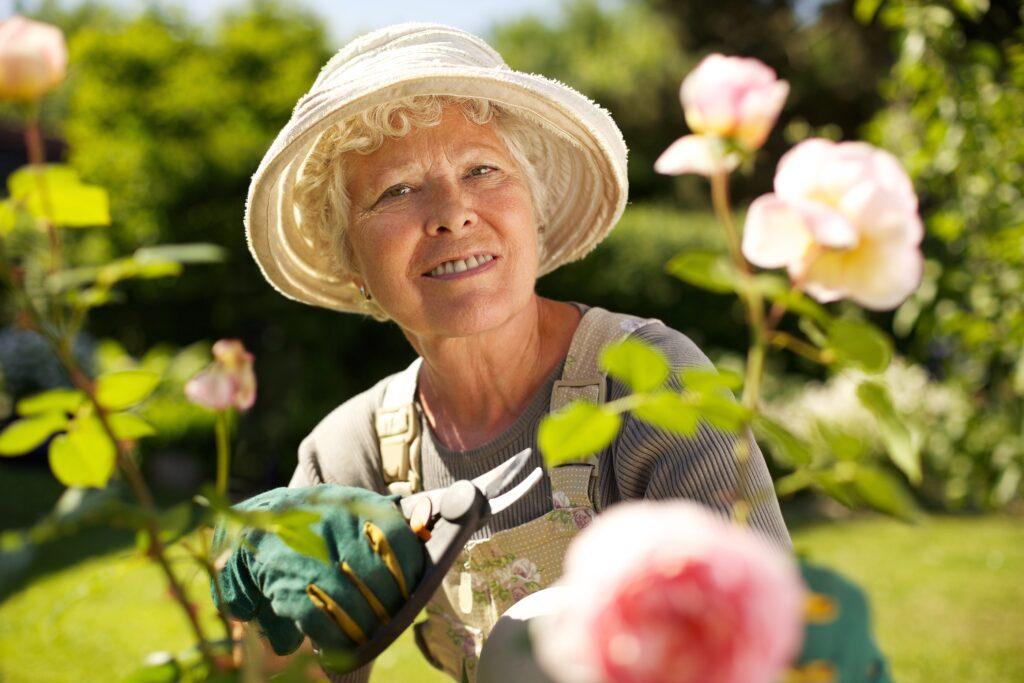 Senior woman with a pruning shears looking at you smiling in her garden. Old woman gardening on a sunny day.