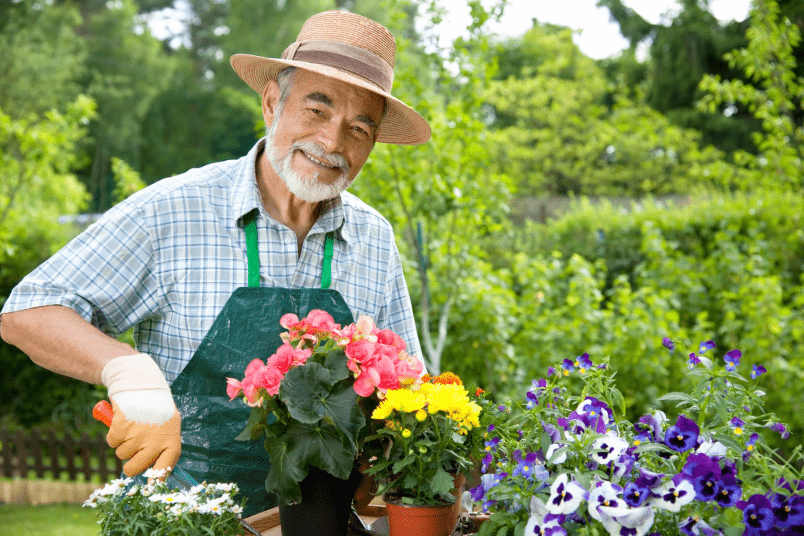 Happy National Activities Professionals Week Livewell Private Care